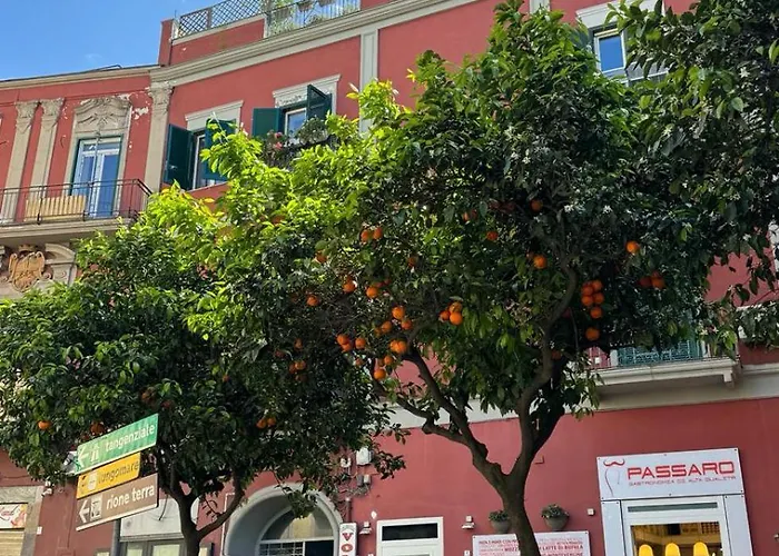 Bed and Breakfast La Cassa Armonica Pozzuoli